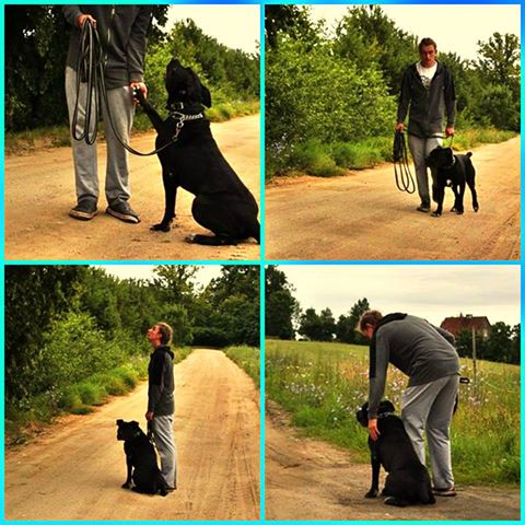 Kacper Pusek dziękujemy za troskliwą opiekę nad Taysonkiem <3 .